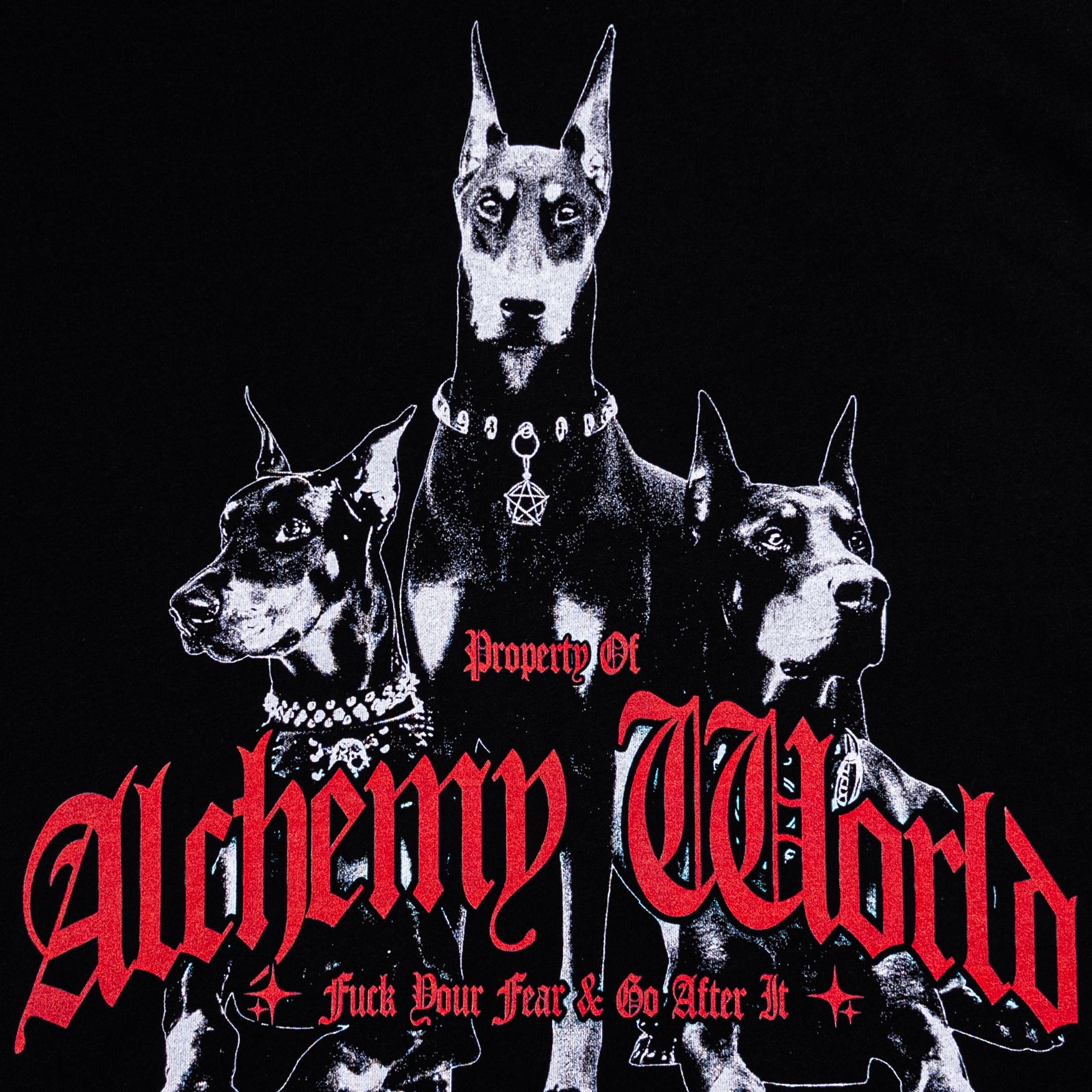 The brotherhood oversized t-shirt